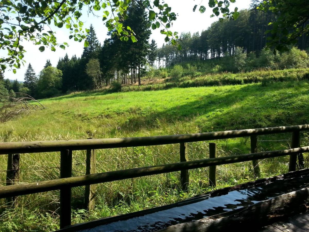 Cosy Apartment Over Usseln With Private Terrace Willingen  Pokój zdjęcie