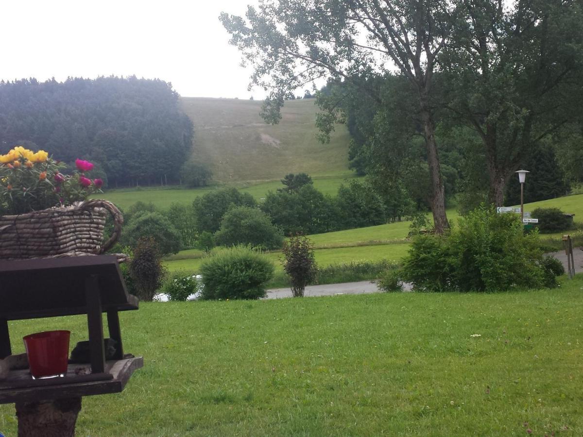 Cosy Apartment Over Usseln With Private Terrace Willingen  Zewnętrze zdjęcie