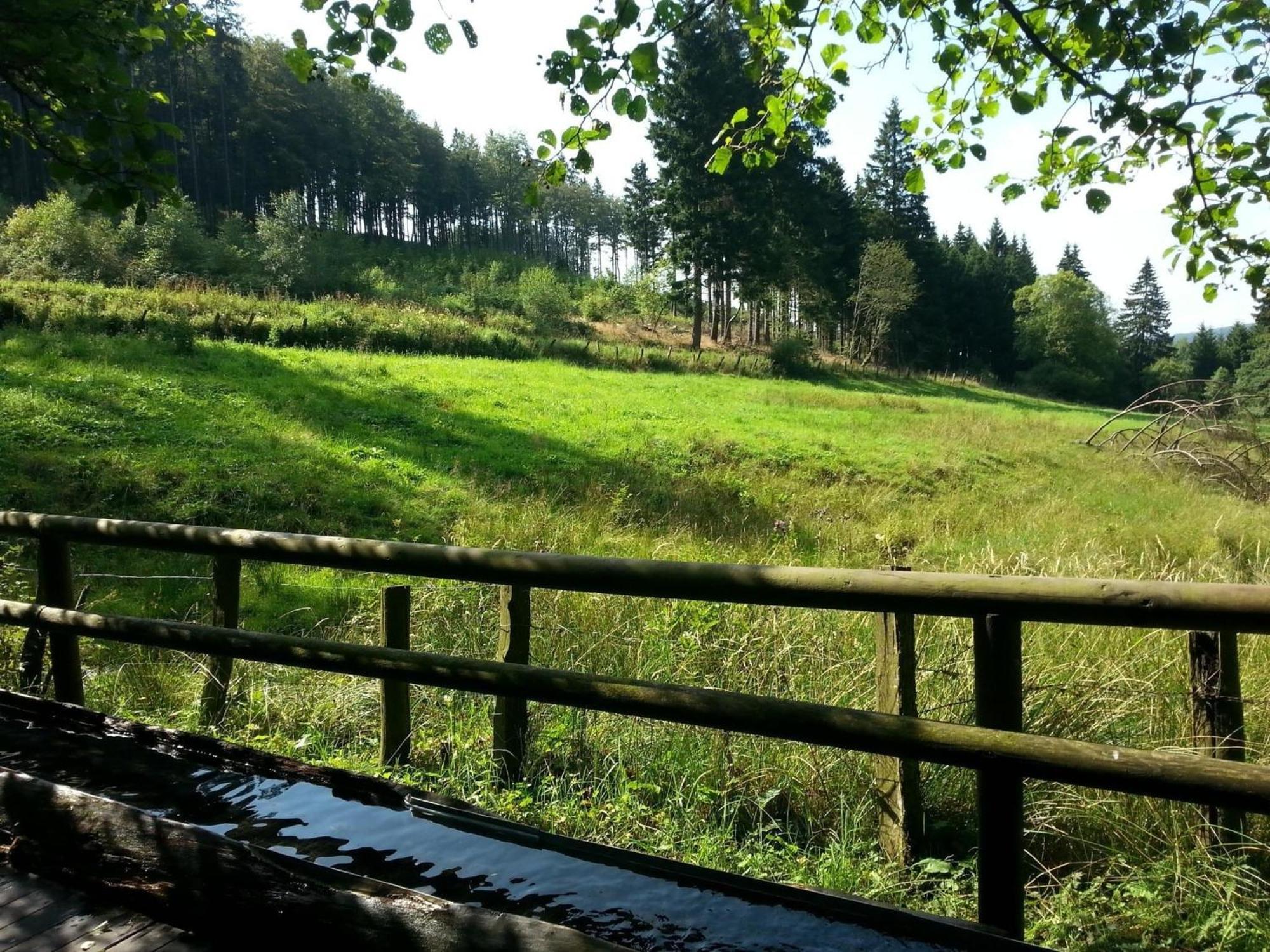Cosy Apartment Over Usseln With Private Terrace Willingen  Zewnętrze zdjęcie